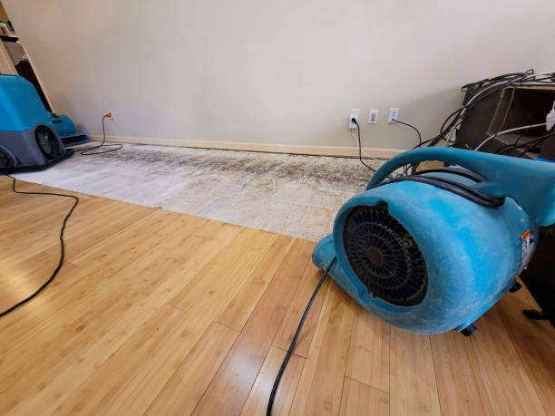 Professional Emergency Water Damage technician working in Longmont, CO